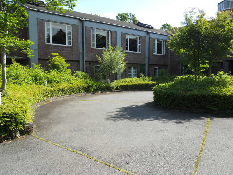 某宿泊施設、低木（サツキツツジ・オオムラサキツツジ）剪定（小山町）