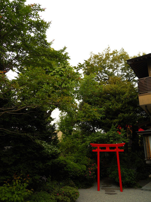 Ｙ邸庭園剪定作業（４）