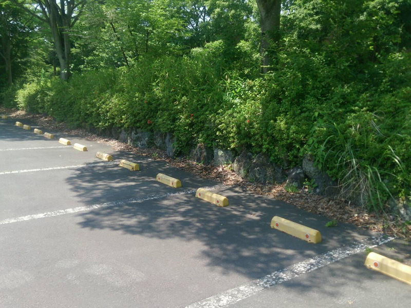 某保養所駐車場周辺低木剪定（クルメ・オオムラサキツツジ）（山梨県山中湖村）