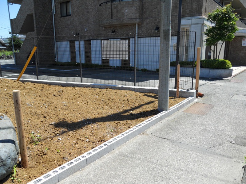 青葉式典社　生垣植栽トキワマンサク（青葉白花）（御殿場市）