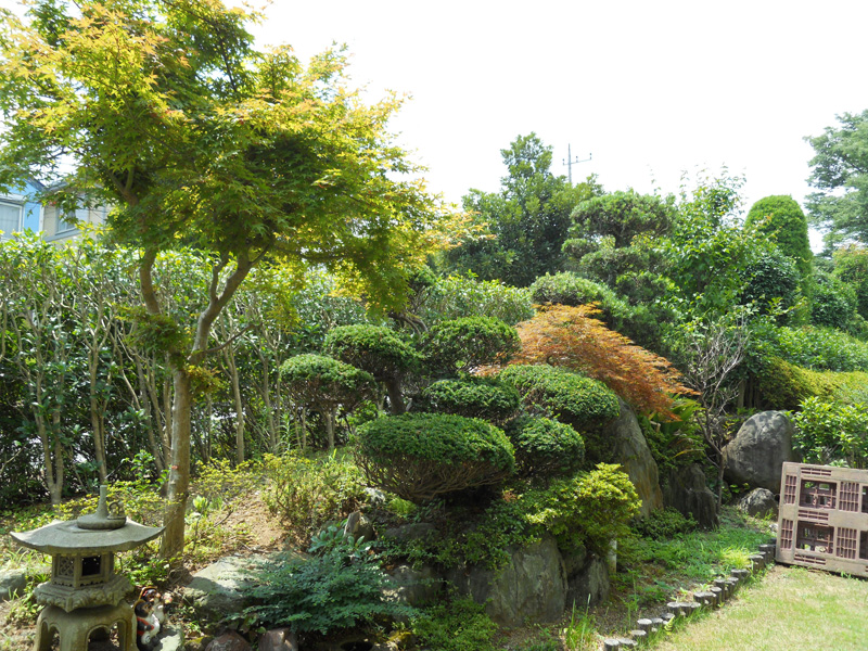 Ｋ邸庭園剪定（裾野市）