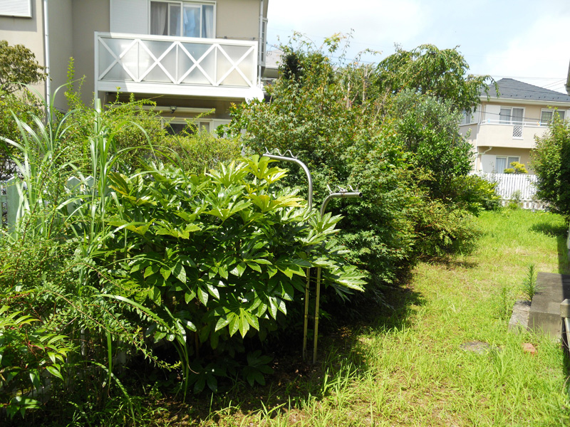 Ｉ邸草刈り・剪定作業（裾野市）