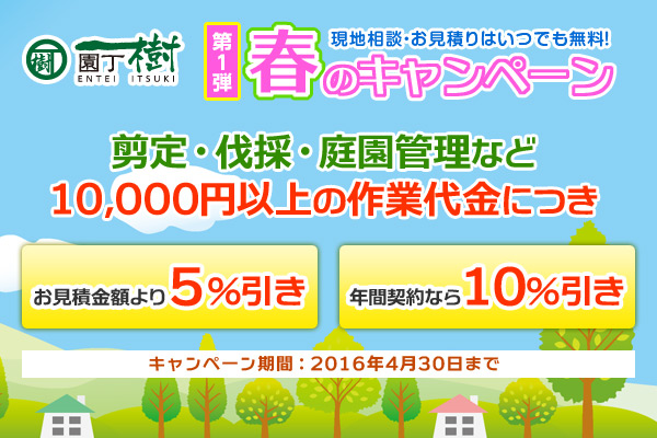 春のキャンペーン第１弾　剪定・草刈・薬剤散布・庭園管理　最大10%特別割引 実施中